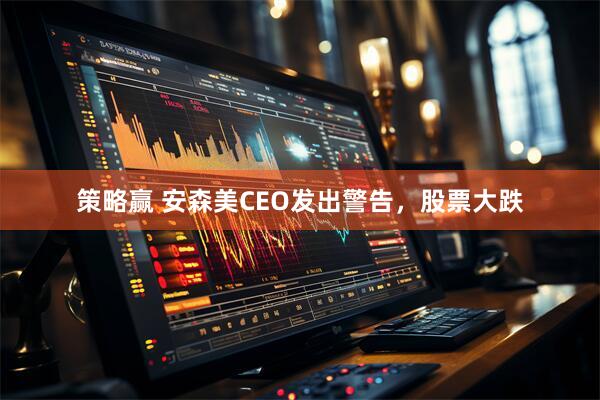 策略赢 安森美CEO发出警告，股票大跌
